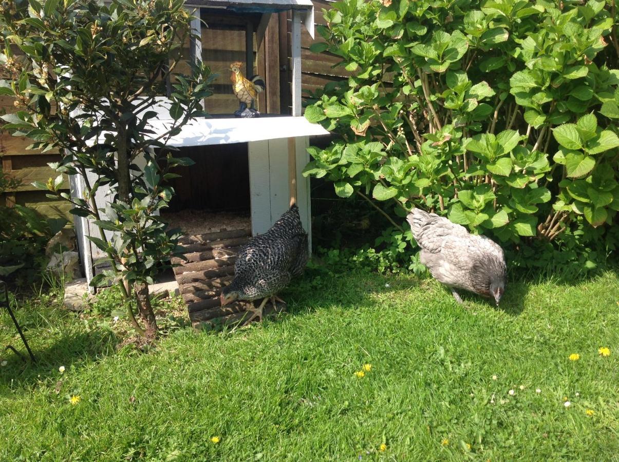 Bed and Breakfast Le Jardin des Poules à Thiétreville Extérieur photo